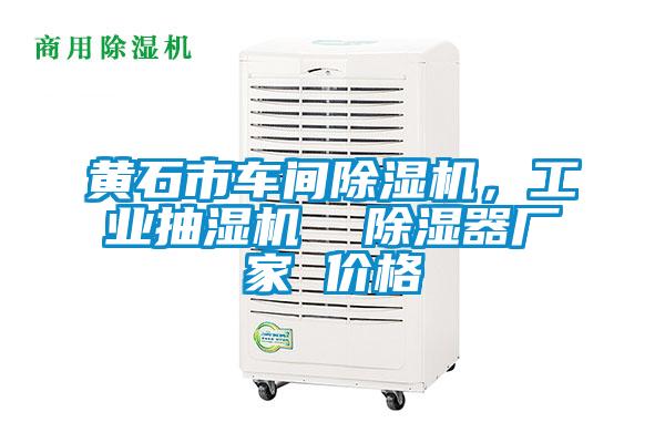 黃石市車間除濕機，工業(yè)抽濕機  除濕器廠家 價格