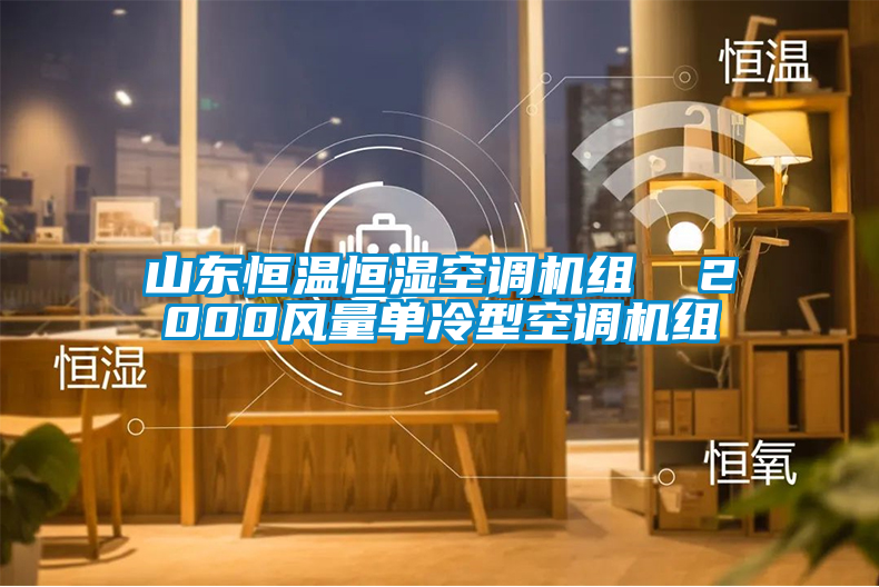 山東恒溫恒濕空調(diào)機組 2000風(fēng)量單冷型空調(diào)機組