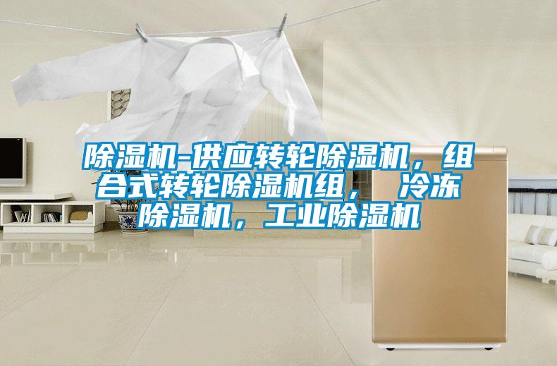 除濕機(jī)-供應(yīng)轉(zhuǎn)輪除濕機(jī)，組合式轉(zhuǎn)輪除濕機(jī)組， 冷凍除濕機(jī)，工業(yè)除濕機(jī)