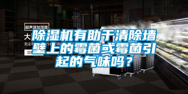 除濕機有助于清除墻壁上的霉菌或霉菌引起的氣味嗎？