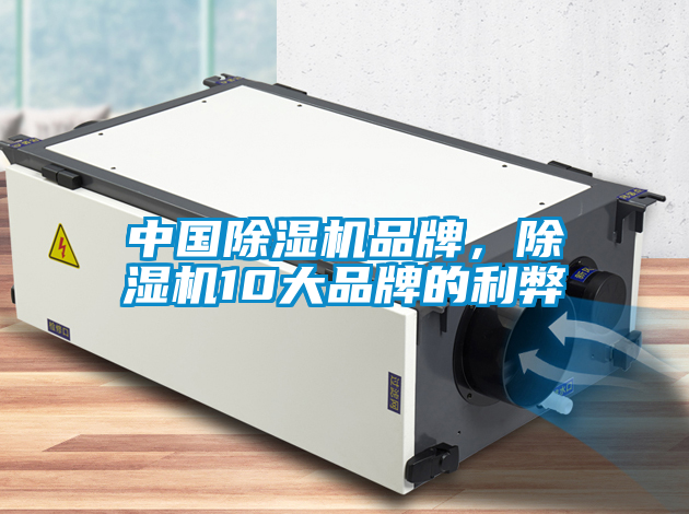 中國除濕機(jī)品牌，除濕機(jī)10大品牌的利弊