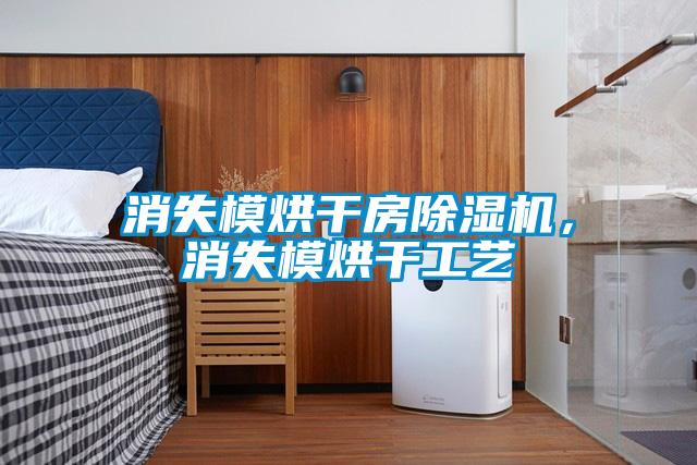 消失模烘干房除濕機(jī)，消失模烘干工藝