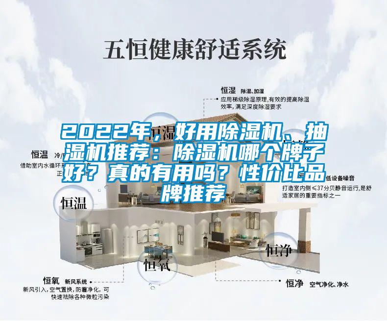 2022年，好用除濕機、抽濕機推薦：除濕機哪個牌子好？真的有用嗎？性價比品牌推薦
