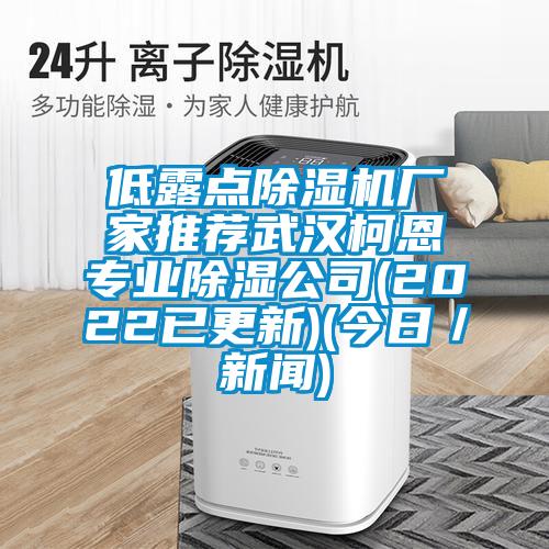 低露點(diǎn)除濕機(jī)廠家推薦武漢柯恩專業(yè)除濕公司(2022已更新)(今日/新聞)