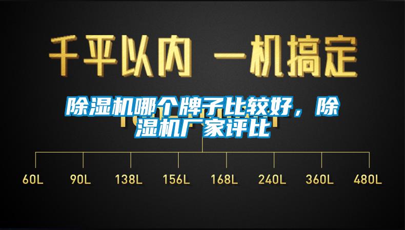 除濕機哪個牌子比較好，除濕機廠家評比