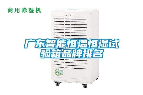 廣東智能恒溫恒濕試驗(yàn)箱品牌排名