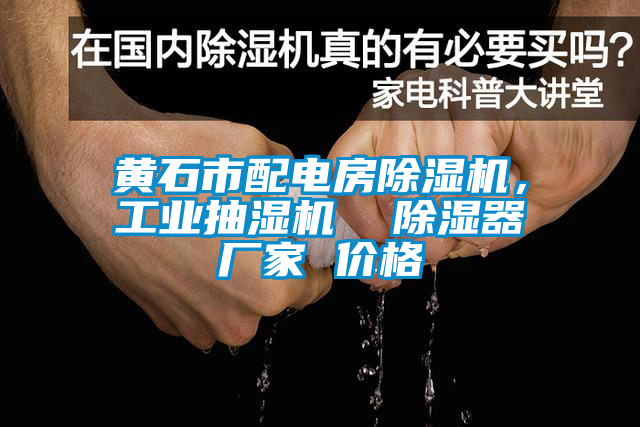 黃石市配電房除濕機，工業(yè)抽濕機  除濕器廠家 價格