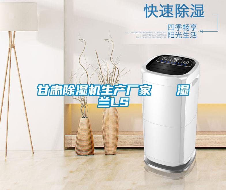 甘肅除濕機(jī)生產(chǎn)廠家 濕蘭LS