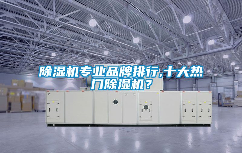 除濕機(jī)專業(yè)品牌排行,十大熱門除濕機(jī)？