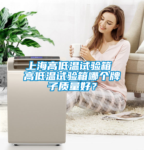 上海高低溫試驗(yàn)箱 高低溫試驗(yàn)箱哪個(gè)牌子質(zhì)量好？