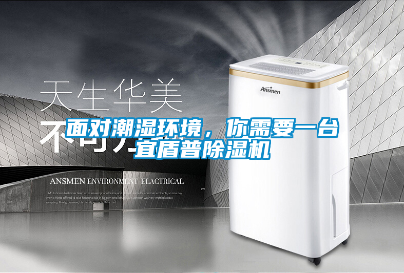 面對潮濕環(huán)境,你需要一臺宜盾普除濕機