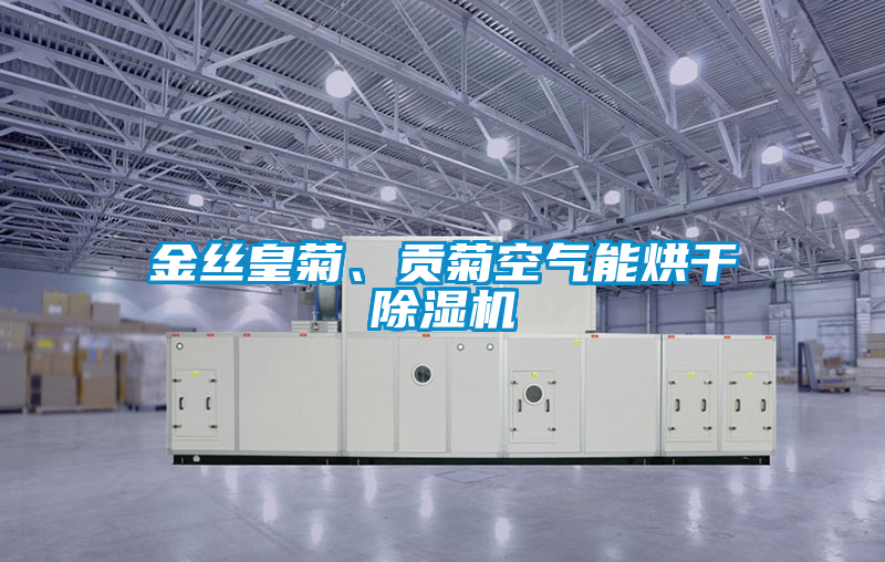 金絲皇菊、貢菊空氣能烘干除濕機(jī)
