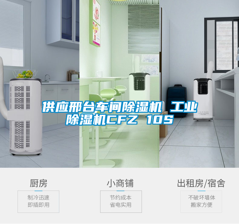 供應(yīng)邢臺(tái)車(chē)間除濕機(jī) 工業(yè)除濕機(jī)CFZ 10S