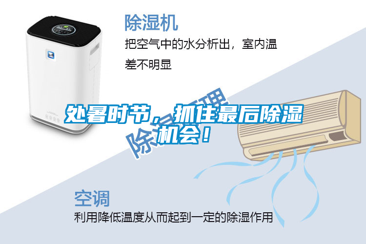 處暑時節(jié)，抓住最后除濕機會！