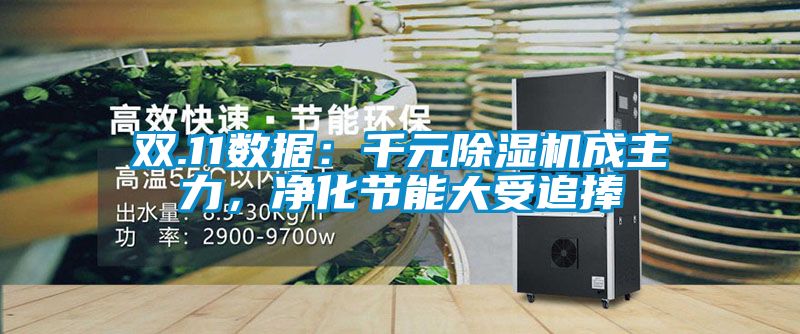 雙.11數(shù)據(jù)：千元除濕機(jī)成主力，凈化節(jié)能大受追捧