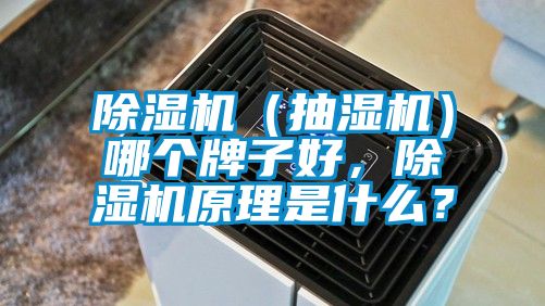 除濕機(jī)（抽濕機(jī)）哪個(gè)牌子好，除濕機(jī)原理是什么？