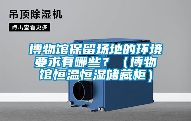 博物館保留場地的環(huán)境要求有哪些？（博物館恒溫恒濕儲藏柜）