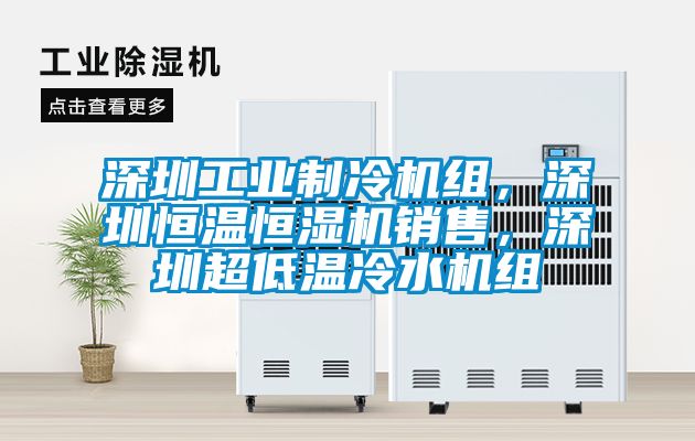 深圳工業(yè)制冷機(jī)組，深圳恒溫恒濕機(jī)銷售，深圳超低溫冷水機(jī)組