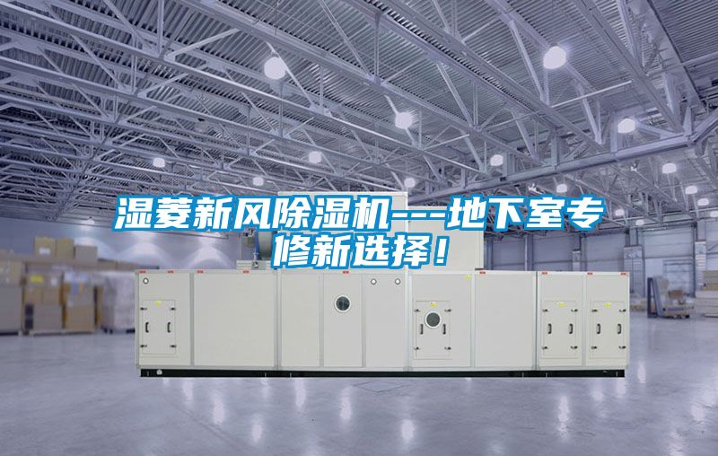 濕菱新風(fēng)除濕機(jī)---地下室專修新選擇！