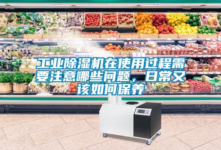 工業(yè)除濕機(jī)在使用過程需要注意哪些問題，日常又該如何保養(yǎng)