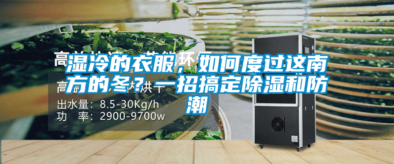 濕冷的衣服，如何度過這南方的冬？一招搞定除濕和防潮
