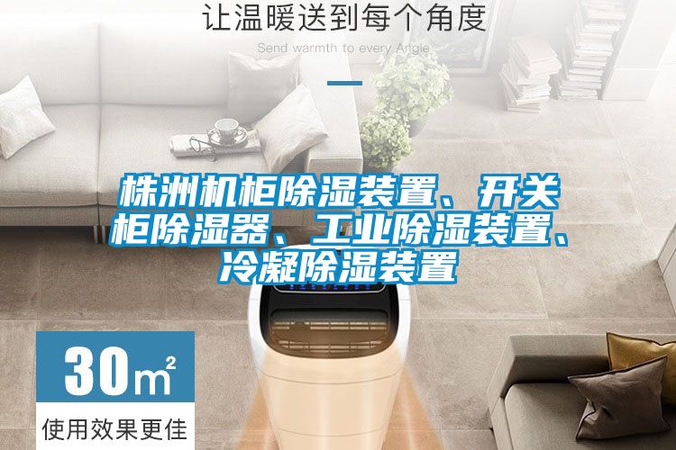 株洲機(jī)柜除濕裝置、開關(guān)柜除濕器、工業(yè)除濕裝置、冷凝除濕裝置