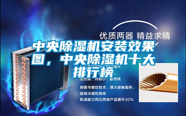 中央除濕機安裝效果圖，中央除濕機十大排行榜