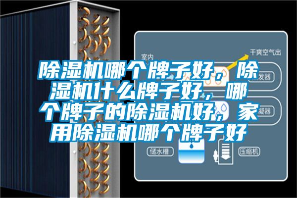 除濕機哪個牌子好，除濕機什么牌子好，哪個牌子的除濕機好，家用除濕機哪個牌子好