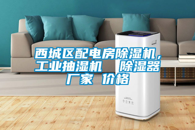 西城區(qū)配電房除濕機，工業(yè)抽濕機  除濕器廠家 價格