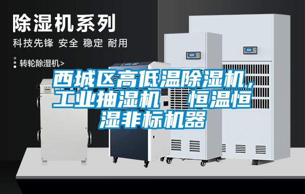 西城區(qū)高低溫除濕機，工業(yè)抽濕機  恒溫恒濕非標機器