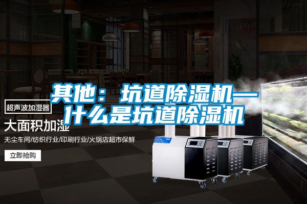 其他:坑道除濕機(jī)—什么是坑道除濕機(jī)