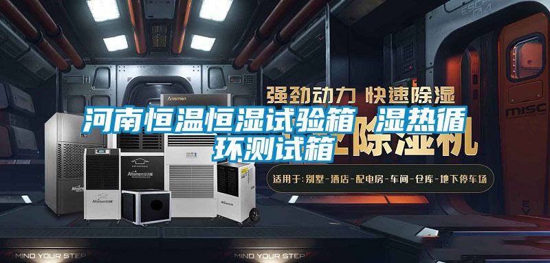 河南恒溫恒濕試驗(yàn)箱 濕熱循環(huán)測試箱