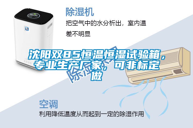 沈陽雙85恒溫恒濕試驗箱，專業(yè)生產(chǎn)廠家，可非標(biāo)定做