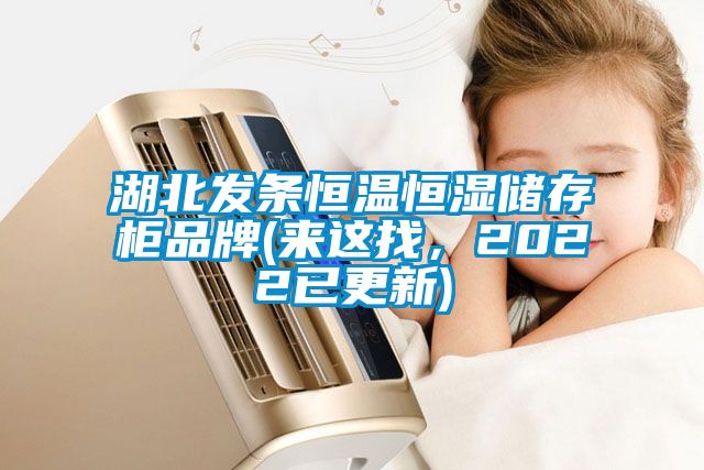 湖北發(fā)條恒溫恒濕儲(chǔ)存柜品牌(來這找，2022已更新)