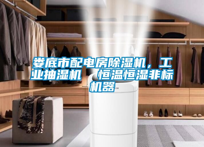婁底市配電房除濕機(jī)，工業(yè)抽濕機(jī)  恒溫恒濕非標(biāo)機(jī)器