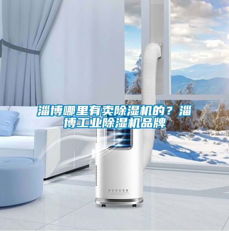 淄博哪里有賣除濕機(jī)的?淄博工業(yè)除濕機(jī)品牌