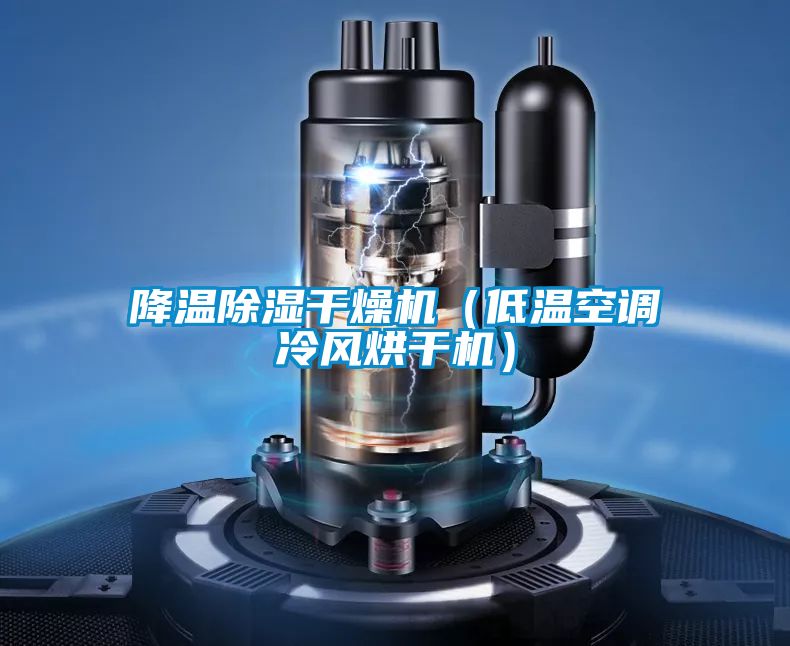 降溫除濕干燥機(jī)(低溫空調(diào)冷風(fēng)烘干機(jī))