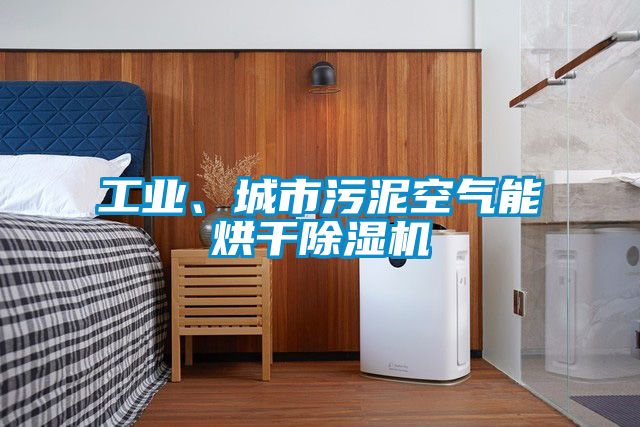 工業(yè)、城市污泥空氣能烘干除濕機