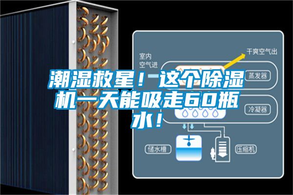 潮濕救星！這個(gè)除濕機(jī)一天能吸走60瓶水！
