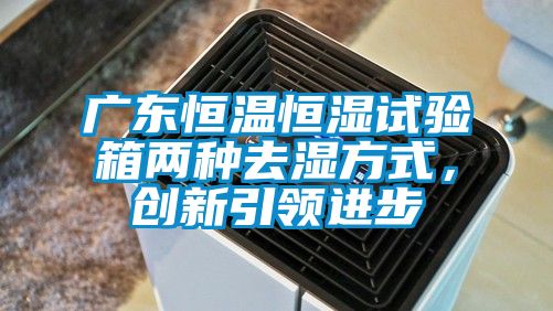 廣東恒溫恒濕試驗箱兩種去濕方式，創(chuàng)新引領(lǐng)進步