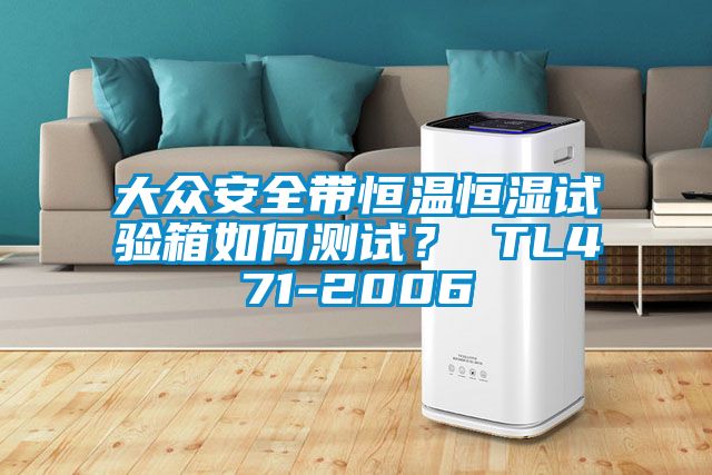 大眾安全帶恒溫恒濕試驗(yàn)箱如何測(cè)試? TL471-2006