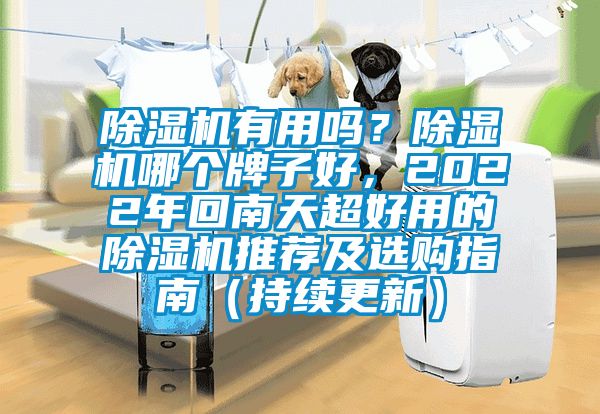 除濕機(jī)有用嗎？除濕機(jī)哪個(gè)牌子好，2022年回南天超好用的除濕機(jī)推薦及選購(gòu)指南（持續(xù)更新）