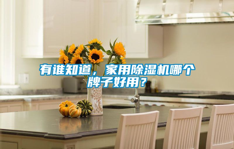 有誰知道，家用除濕機哪個牌子好用？
