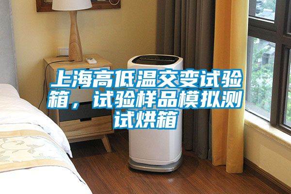 上海高低溫交變?cè)囼?yàn)箱，試驗(yàn)樣品模擬測(cè)試烘箱