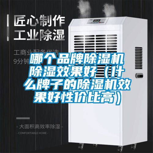哪個(gè)品牌除濕機(jī)除濕效果好(什么牌子的除濕機(jī)效果好性價(jià)比高)