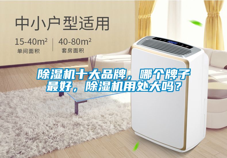 除濕機(jī)十大品牌，哪個(gè)牌子最好，除濕機(jī)用處大嗎？