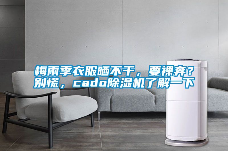 梅雨季衣服曬不干，要裸奔？別慌，cado除濕機(jī)了解一下