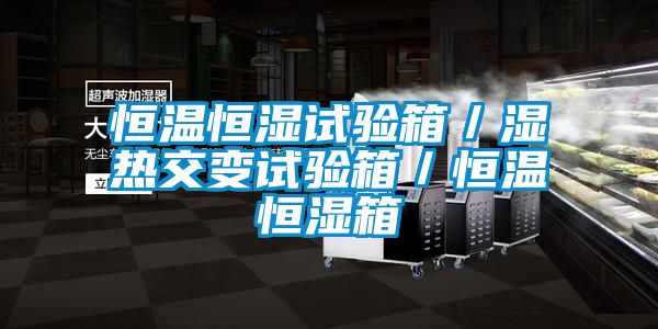 恒溫恒濕試驗(yàn)箱/濕熱交變?cè)囼?yàn)箱/恒溫恒濕箱