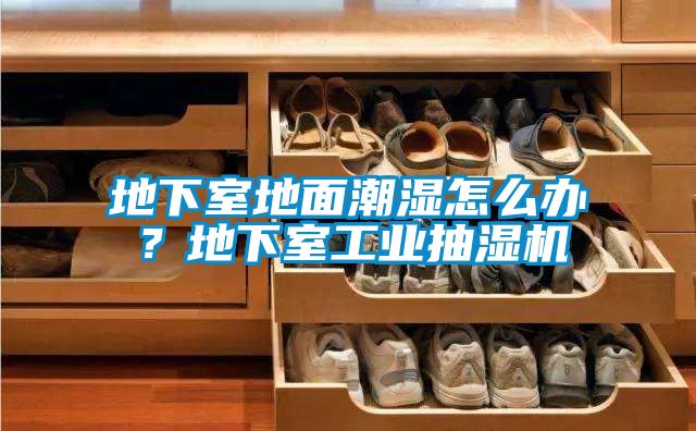 地下室地面潮濕怎么辦？地下室工業(yè)抽濕機(jī)