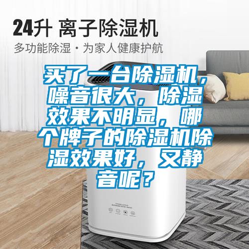 買了一臺除濕機，噪音很大，除濕效果不明顯，哪個牌子的除濕機除濕效果好，又靜音呢？
